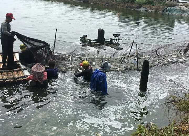 台灣錦昌水產企業行
